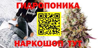 дурь Тара